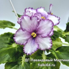 ДГ-Лавандовый Мартини